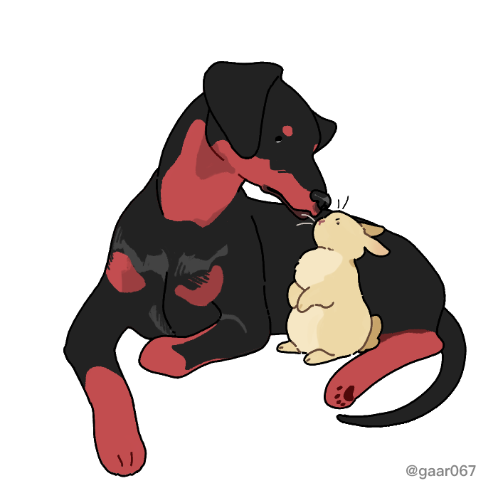 202103161  해파리님 흰배.png