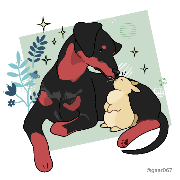 202103161  해파리님.png