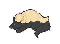 ⓒ개님(연성교환)